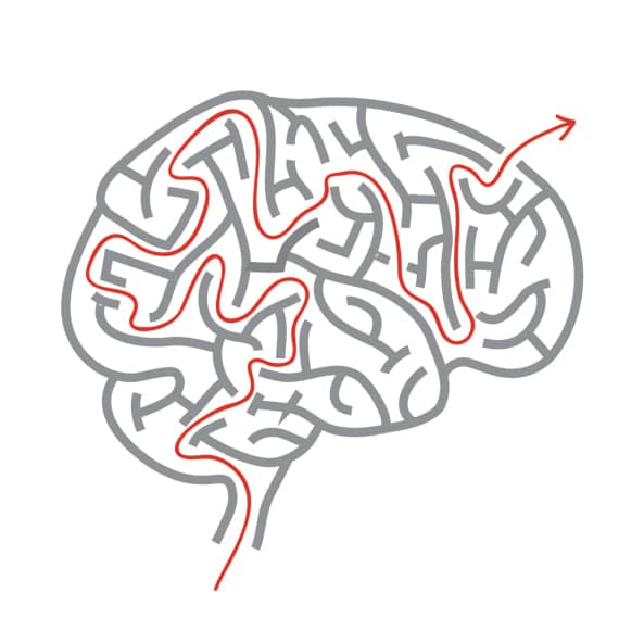 Functional neurology exam